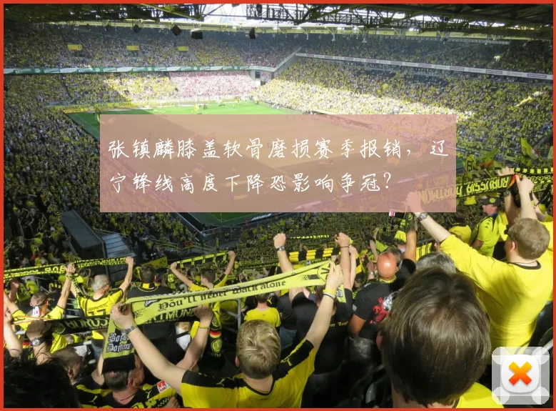 张镇麟膝盖软骨磨损赛季报销，辽宁锋线高度下降恐影响争冠？